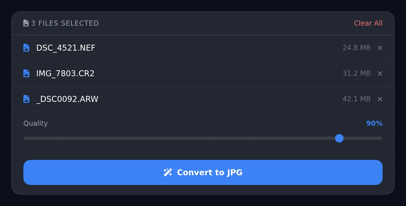 Step-by-step RAW to JPG conversion guide - Step 2