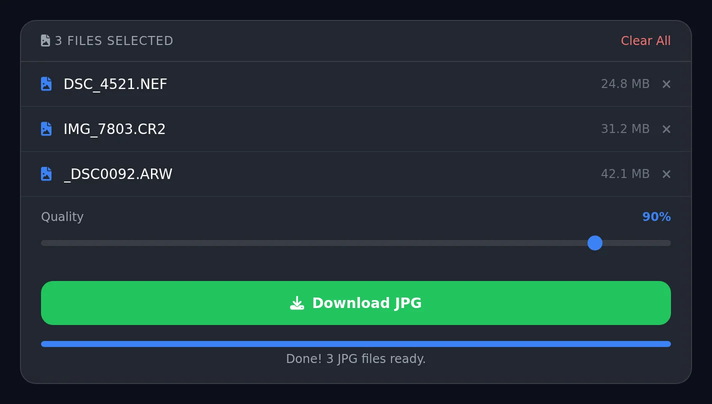 Step-by-step RAW to JPG conversion guide - Step 3